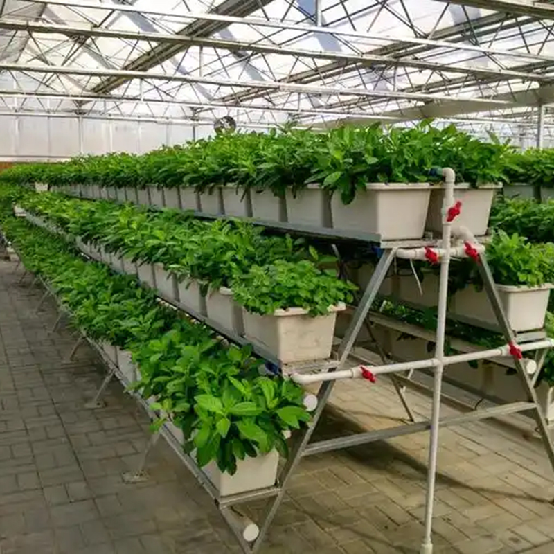 随州市植物工厂智能温室 - 推荐