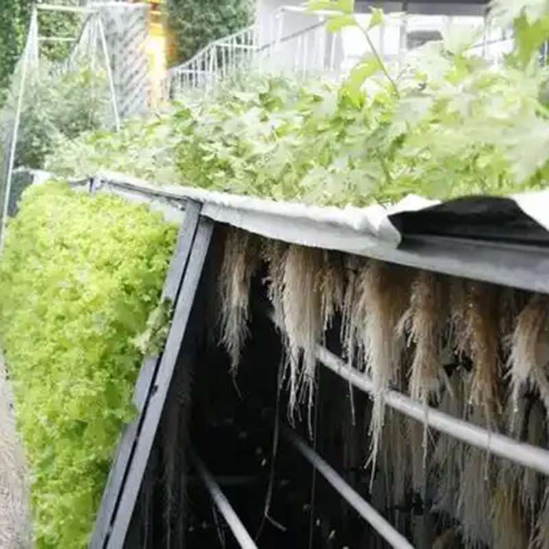 随州市气雾培植物工厂 - 方案