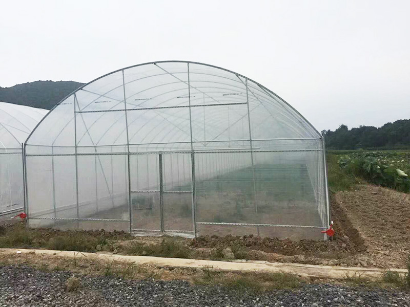 随州市薄膜大棚温室大棚 - 排名